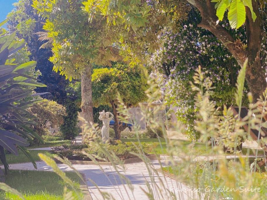 Paraiso Garden Suite--- Spacious & Downtown Porto Bagian luar foto